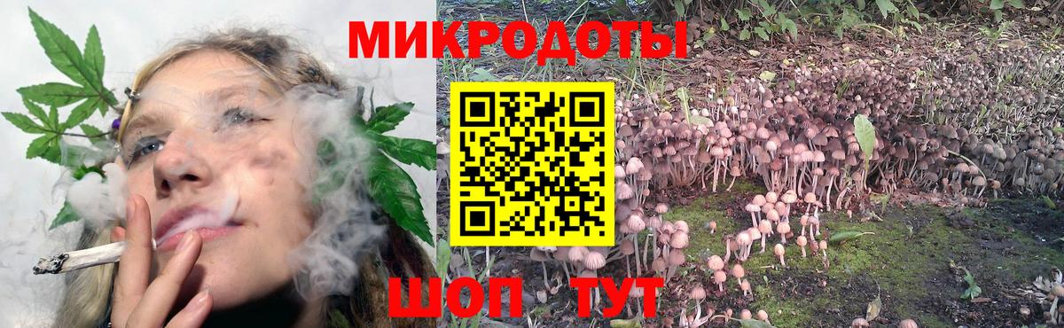 Псилоцибиновые грибы GOLDEN TEACHER Ртищево